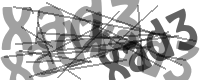 gvnlk